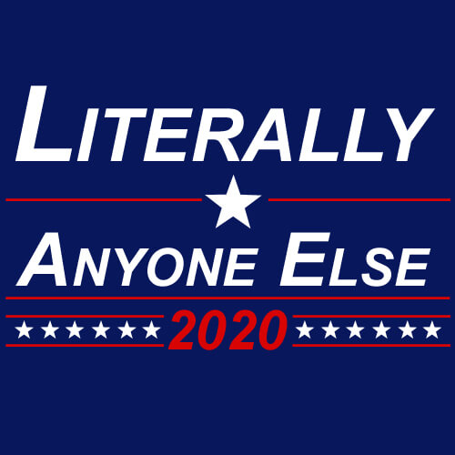 looks like a campaign sign but instead of names says Literally Anyone else 2020